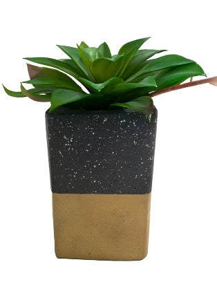 Cement Pot